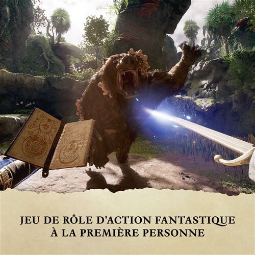 Avowed Premium Edition Steelbook (code De Téléchargement)


XBOX SERIES X